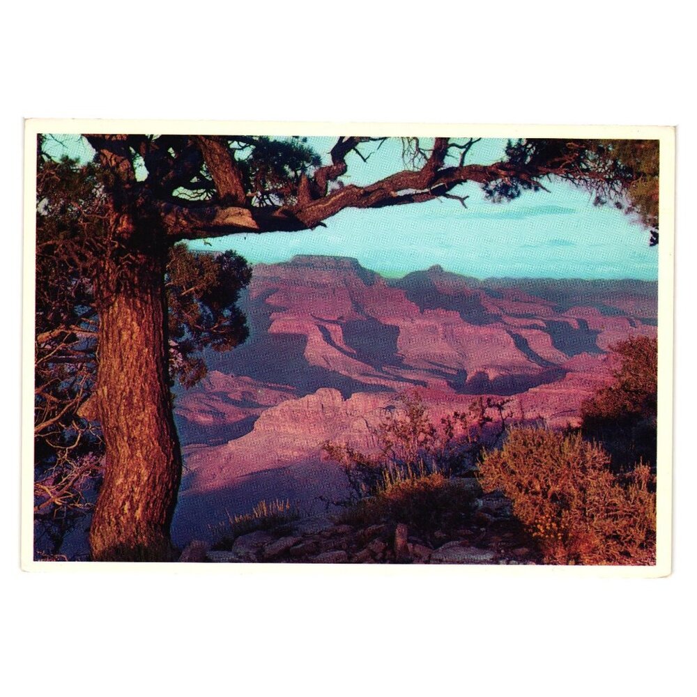 Vintage Grand Canyon Postcard By Petley Sunset View Arizona Sunset Mountains